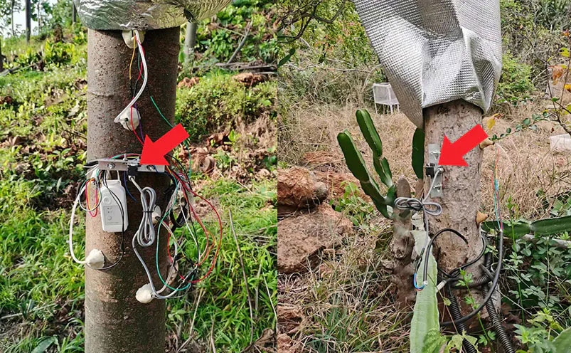 電子尺在注塑機(jī)上的發(fā)展 直線位移傳感器植物生長(zhǎng)監(jiān)測(cè)應(yīng)用